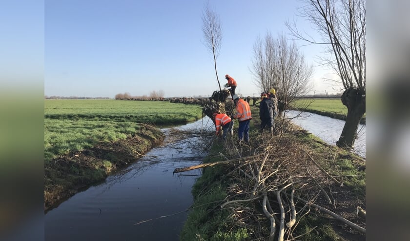 Ikjes Wijkplaats Week Heerrozenwater