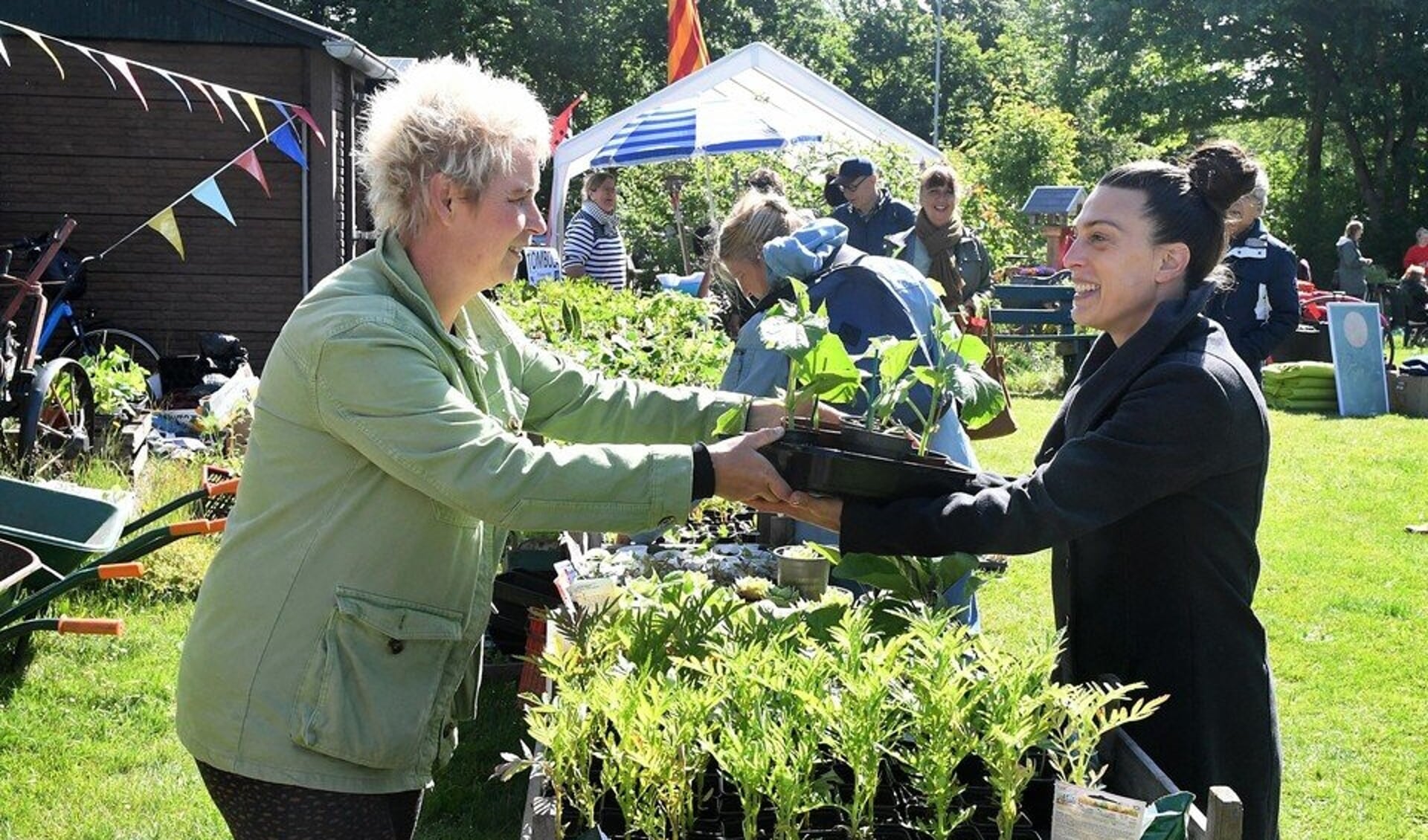 Stekkenmarkt Volkstuinvereniging Tuindorp Al Het Nieuws Uit Den Helder