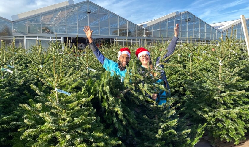 Haal De Natuur In Huis Met Kerst En Ga Voor Een Echte Dennenboom Of