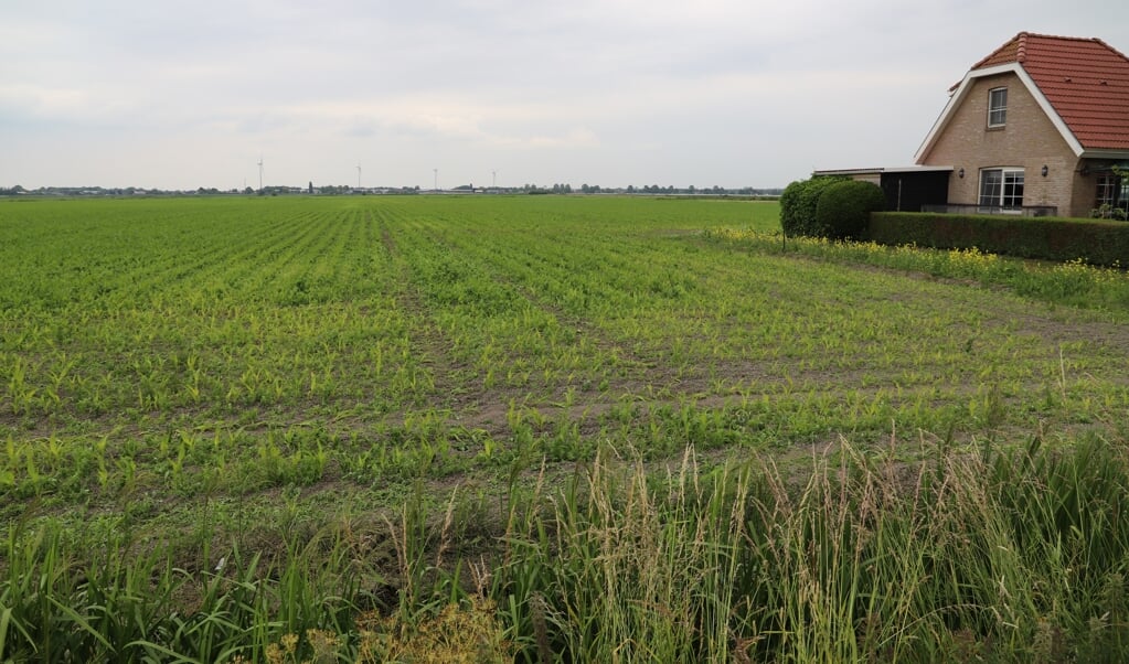 Vijf Vragen En Antwoorden Bij Ontwikkeling Van Vijfde Dorp Al Het