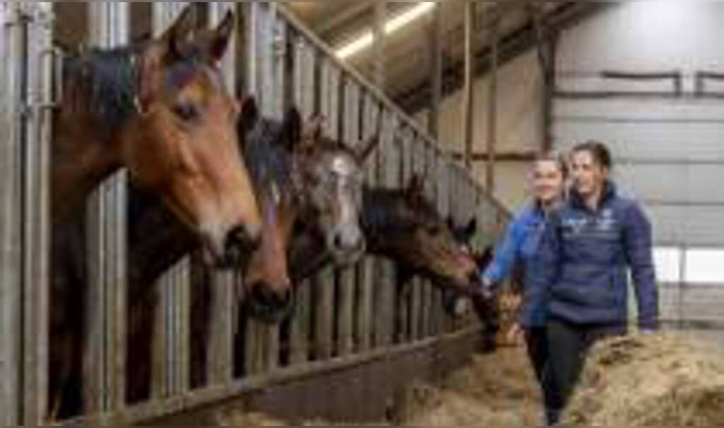 Kim En Naomi Falkena Uit Harich Ons Leven Bestaat Uit Paarden En Nog