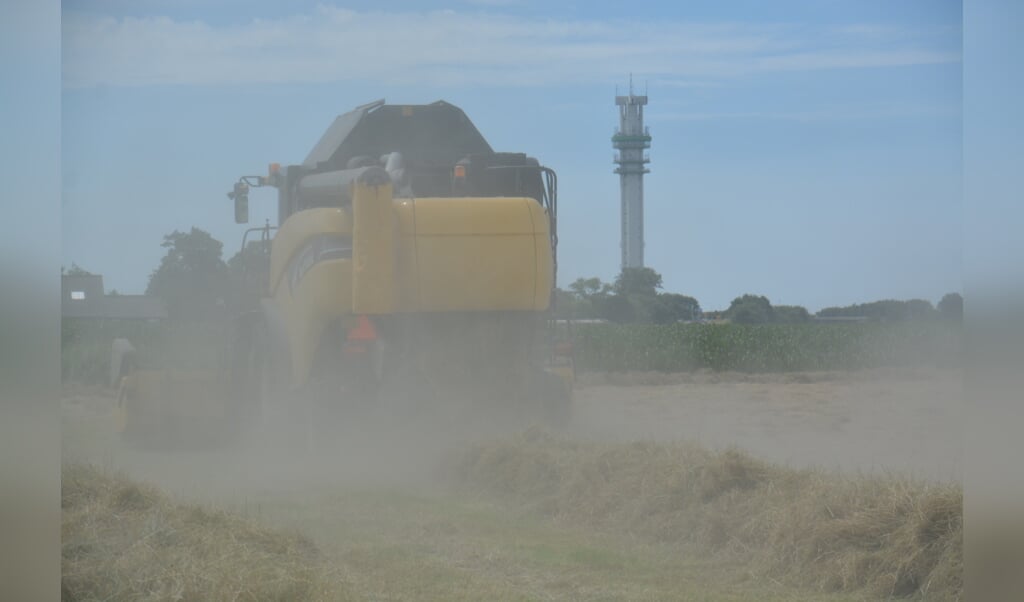 Thewes Kiekt Dorsen Groot De Fryske Marren