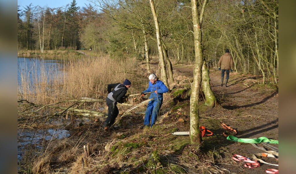 Thewes Kiekt Onderhoud Vegelinbossen Groot De Fryske Marren