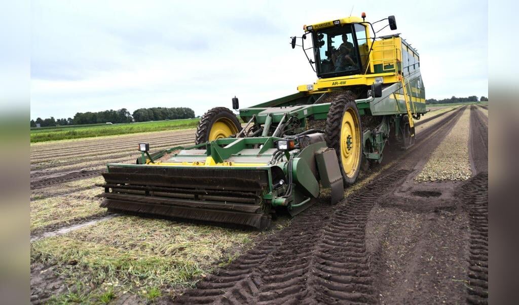 Thewes Kiekt Uien Groot De Fryske Marren