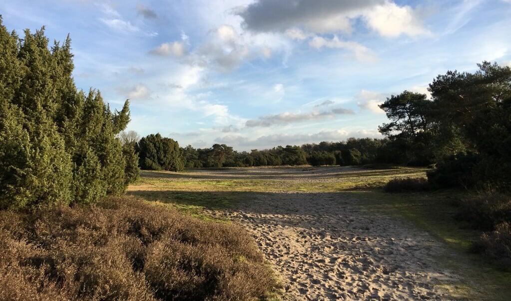 OpStap Excursie In Natuurgebied Beerze Het Nieuws Uit Almelo Van