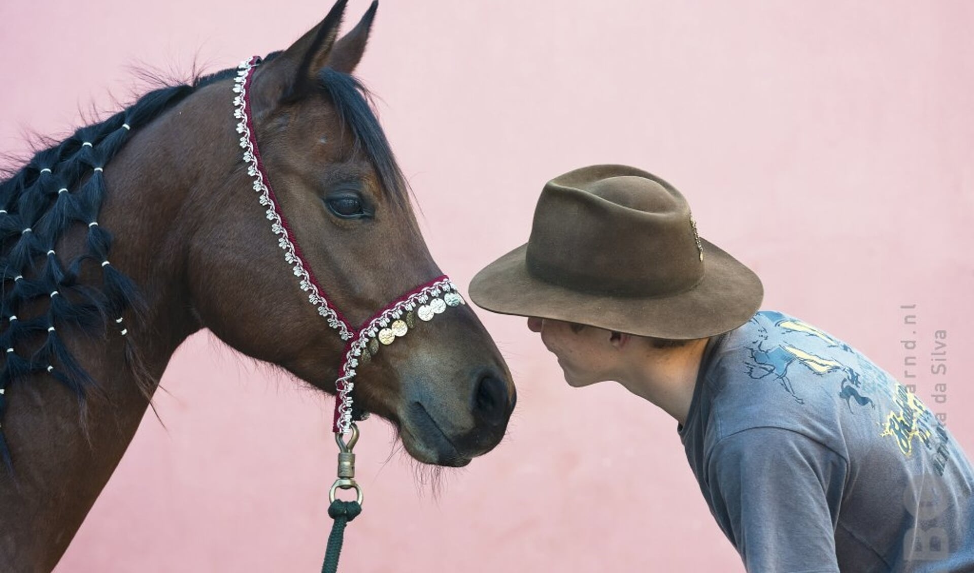 Hoe Noem Jij Je Paard Bit Cap