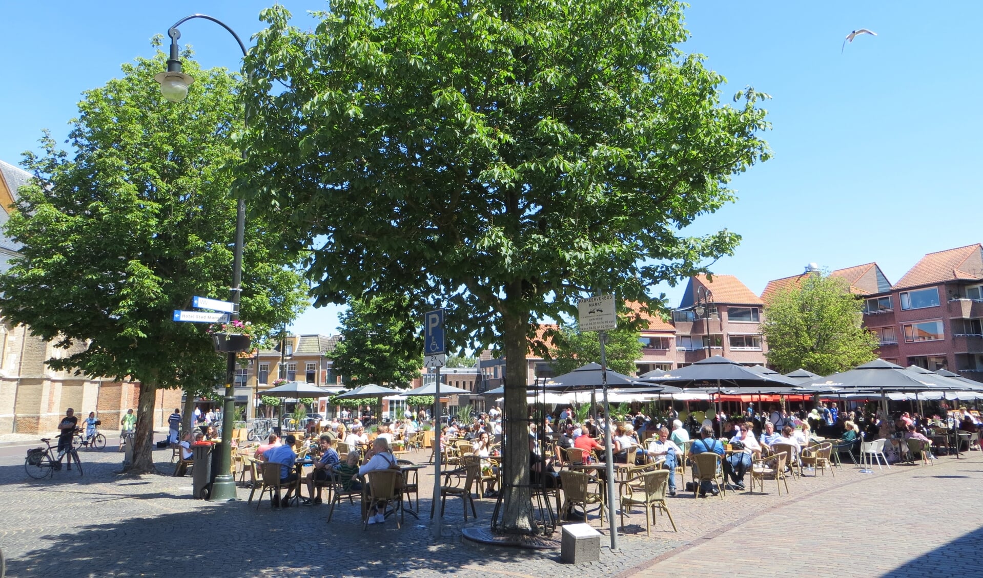 Terrassen Markt op Tweede Pinksterdag meteen goed gevuld. Foto: Bernhard Harfsterkamp