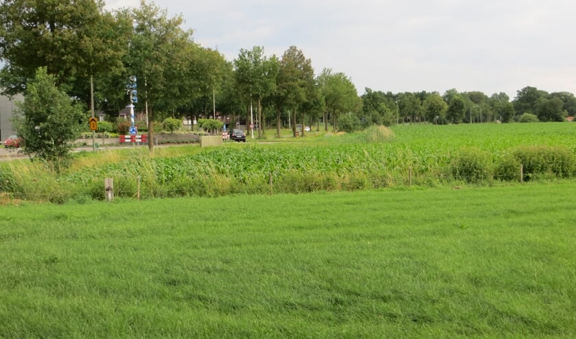 Tuunterveld, een van de locaties voor nieuw bedrijventerrein, die opnieuw wordt beoordeeld. Foto: Bernhard Harfsterkamp