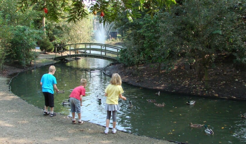 Eendjes voeren in het Ter Weemepark. Foto: PR