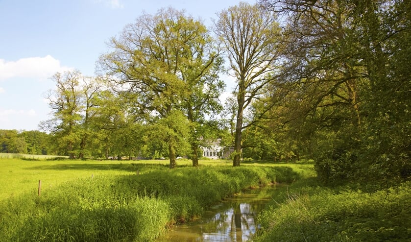 Landschap rondom Hackfort. Foto: Natuurmonumenten, L. Delderlfield’