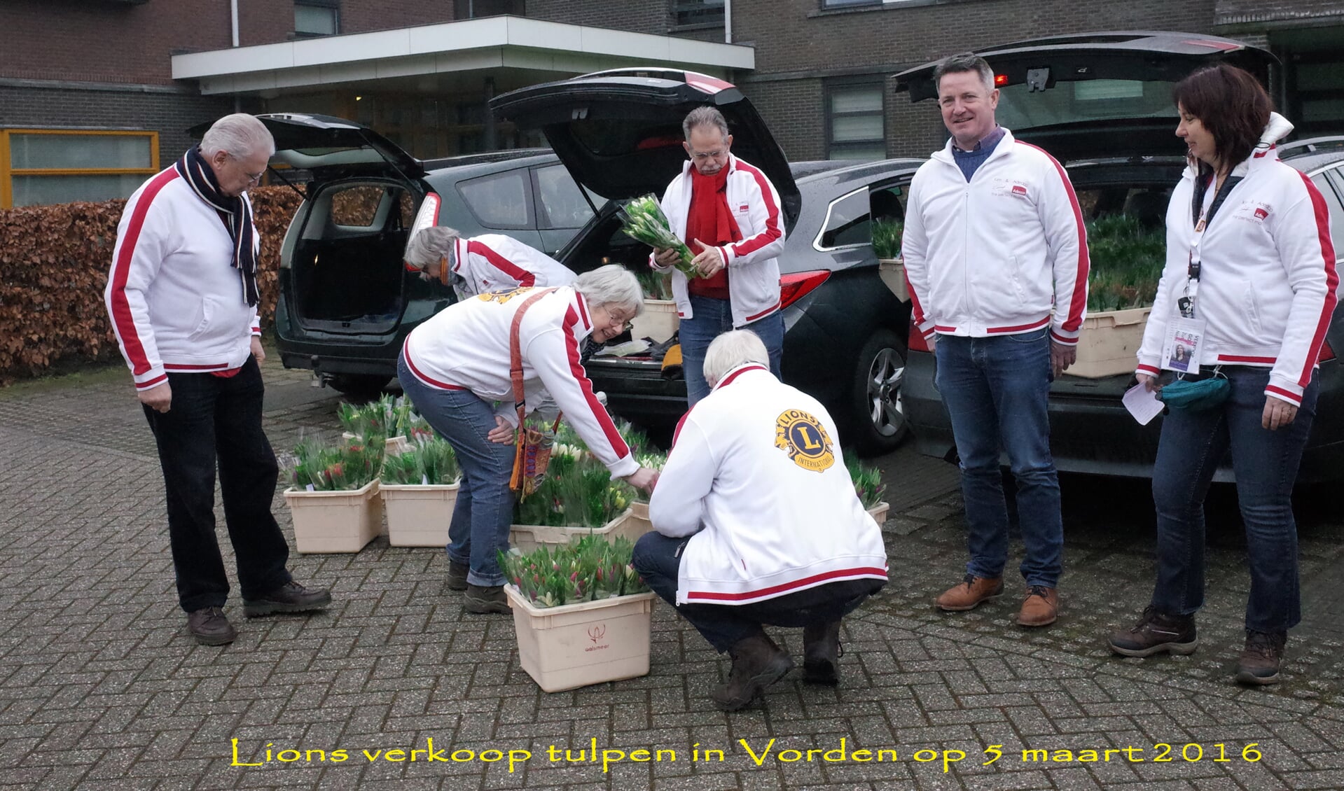 Lionsclub Bronckhorst verkoopt tulpen voor het goede doel. Foto: PR