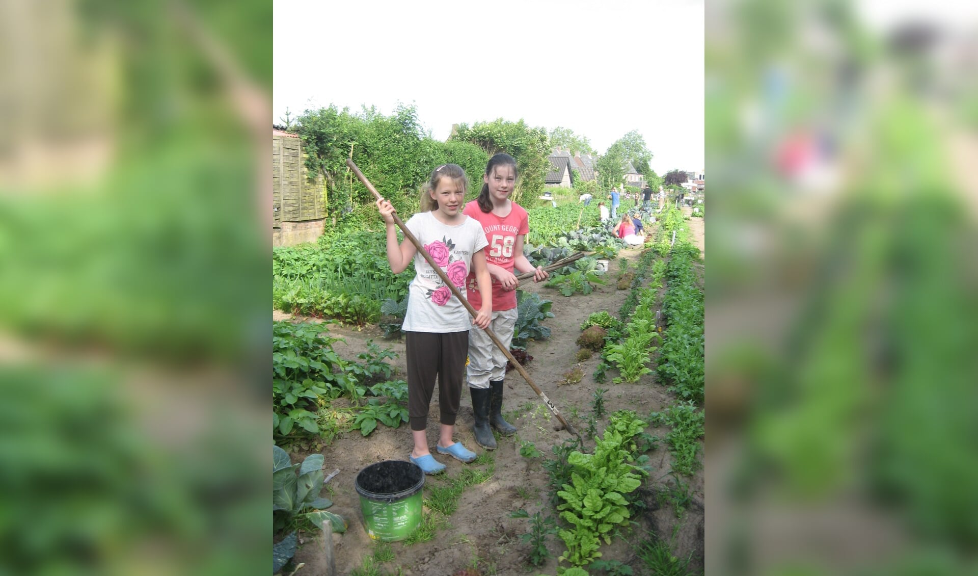 Verbouw met een vriend of vriendin groente in je eigen tuin. Foto: PR