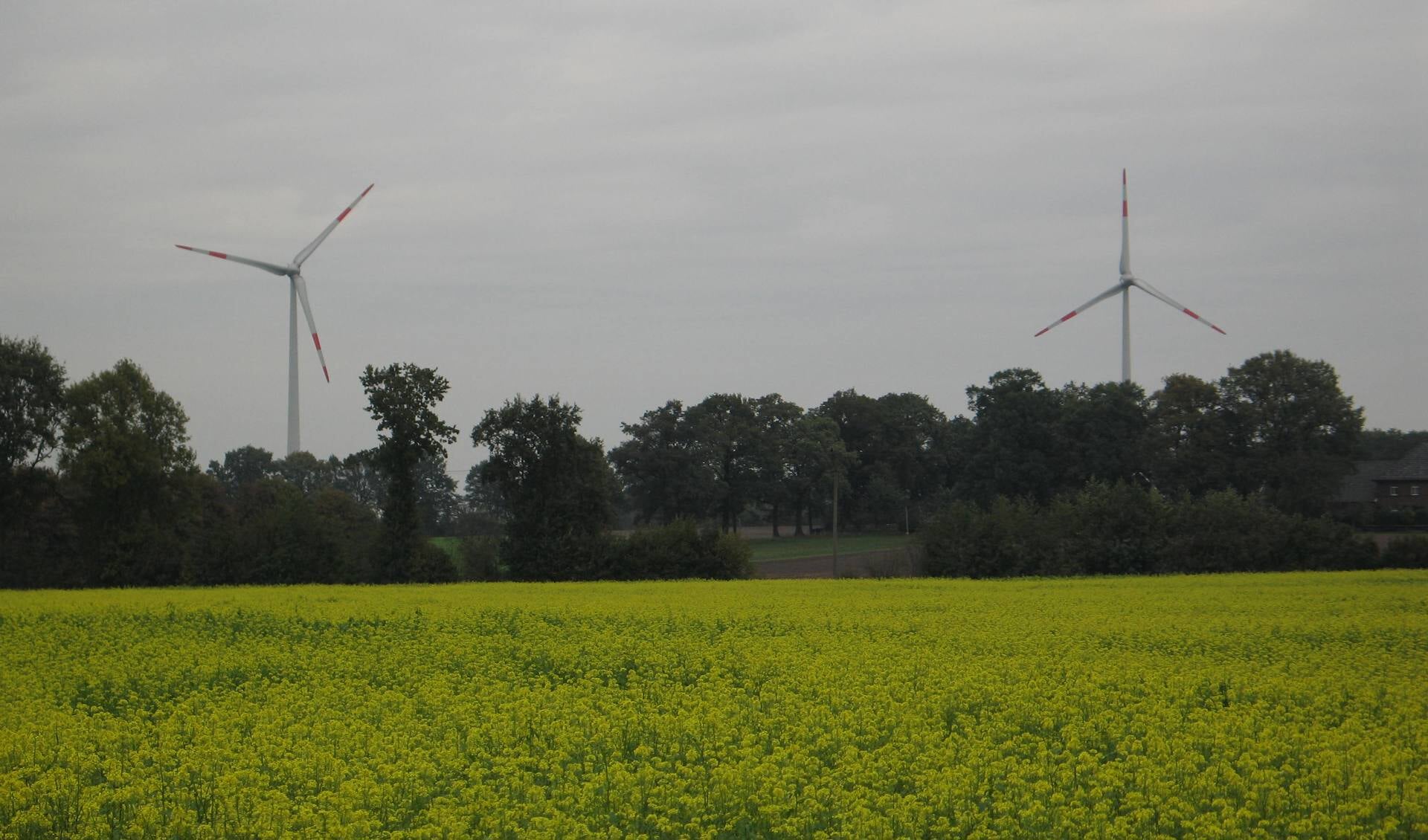 Windmolens net over de grens in Duitsland