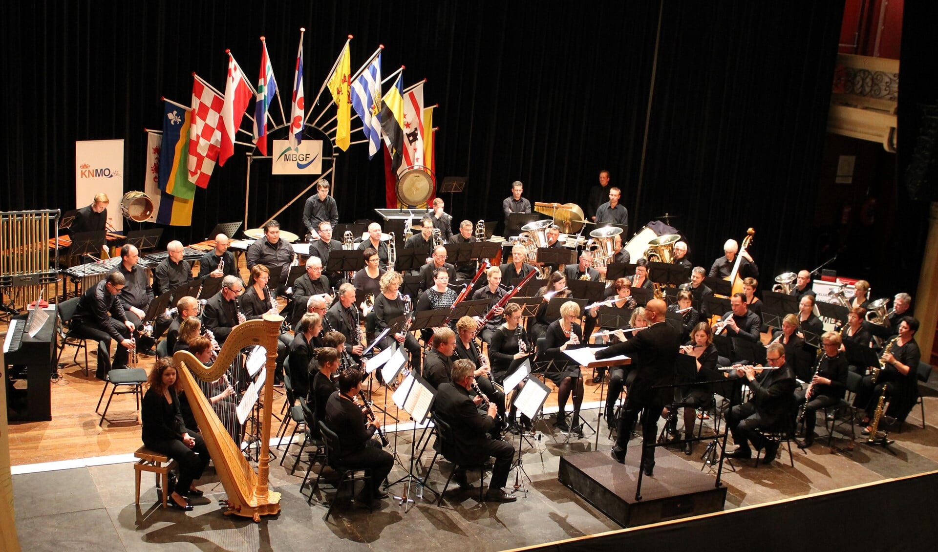 Symfonisch Blaasorkest Gaanderen in actie.  Foto: PR