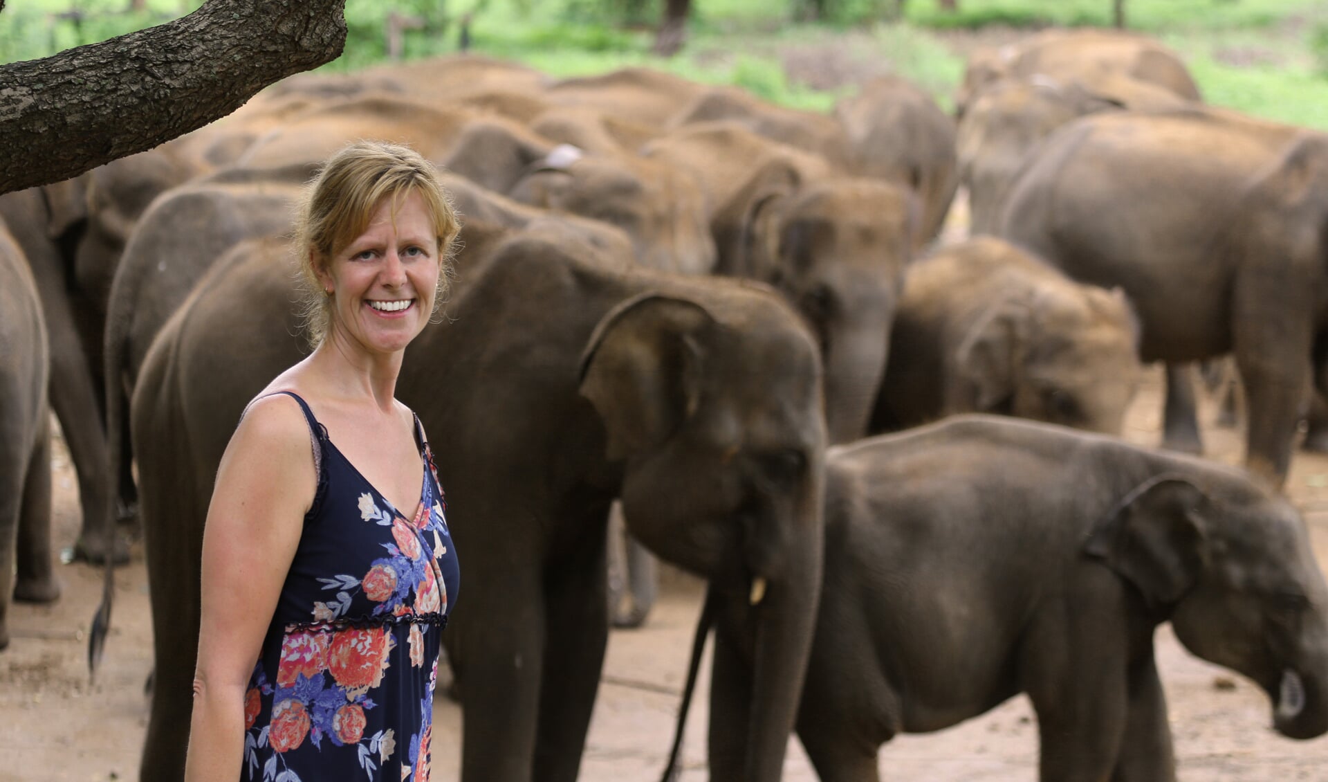 Marjolein Tjalkens bij de olifanten op Sri Lanka. Foto: eigen foto