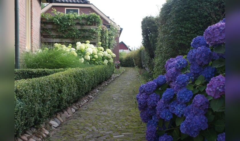 Het Magispad. Bettina Vreeman