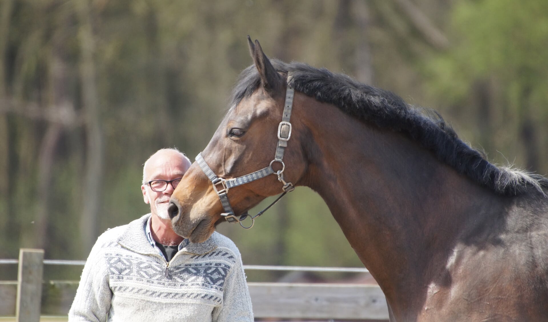 Gerrit Simmelink, voorzitter van de Stichting Paardenopvang Achterhoek. Foto: PR