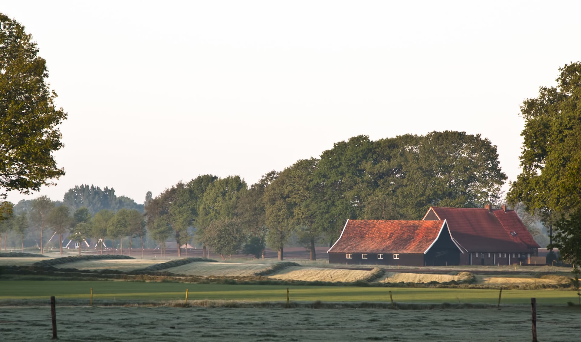 Hooiland in de ochtend. Foto: 100% Winterswijk