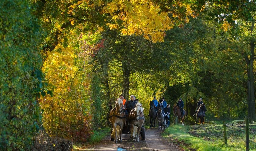 Bij mooi weer en prachtige kleuren kan het een fraaie tocht worden. Foto: PR