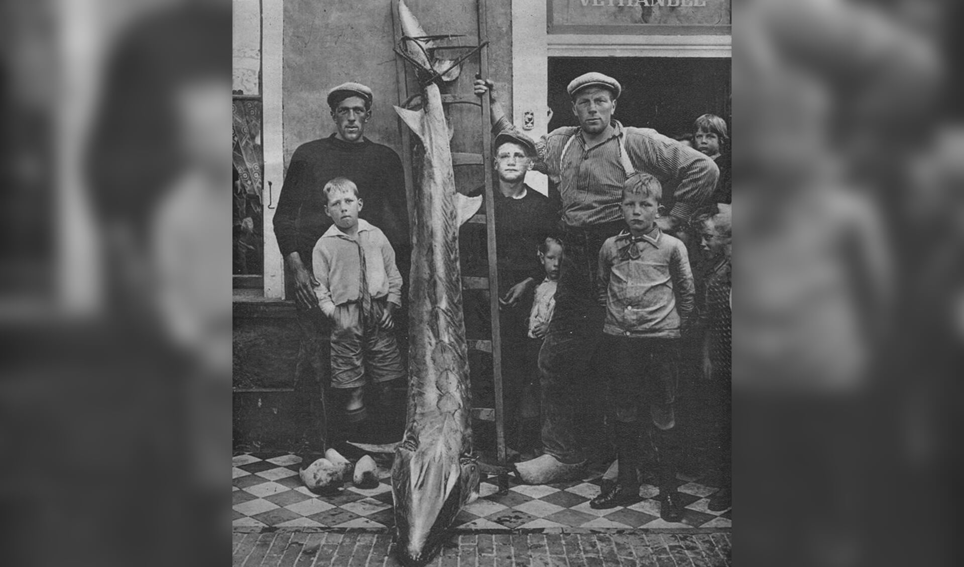 In 1932 werd bij de monding van de Ketel een enorme steur gevangen. Foto: Oudheidkundige Vereniging Arend thoe Boecop, Elburg