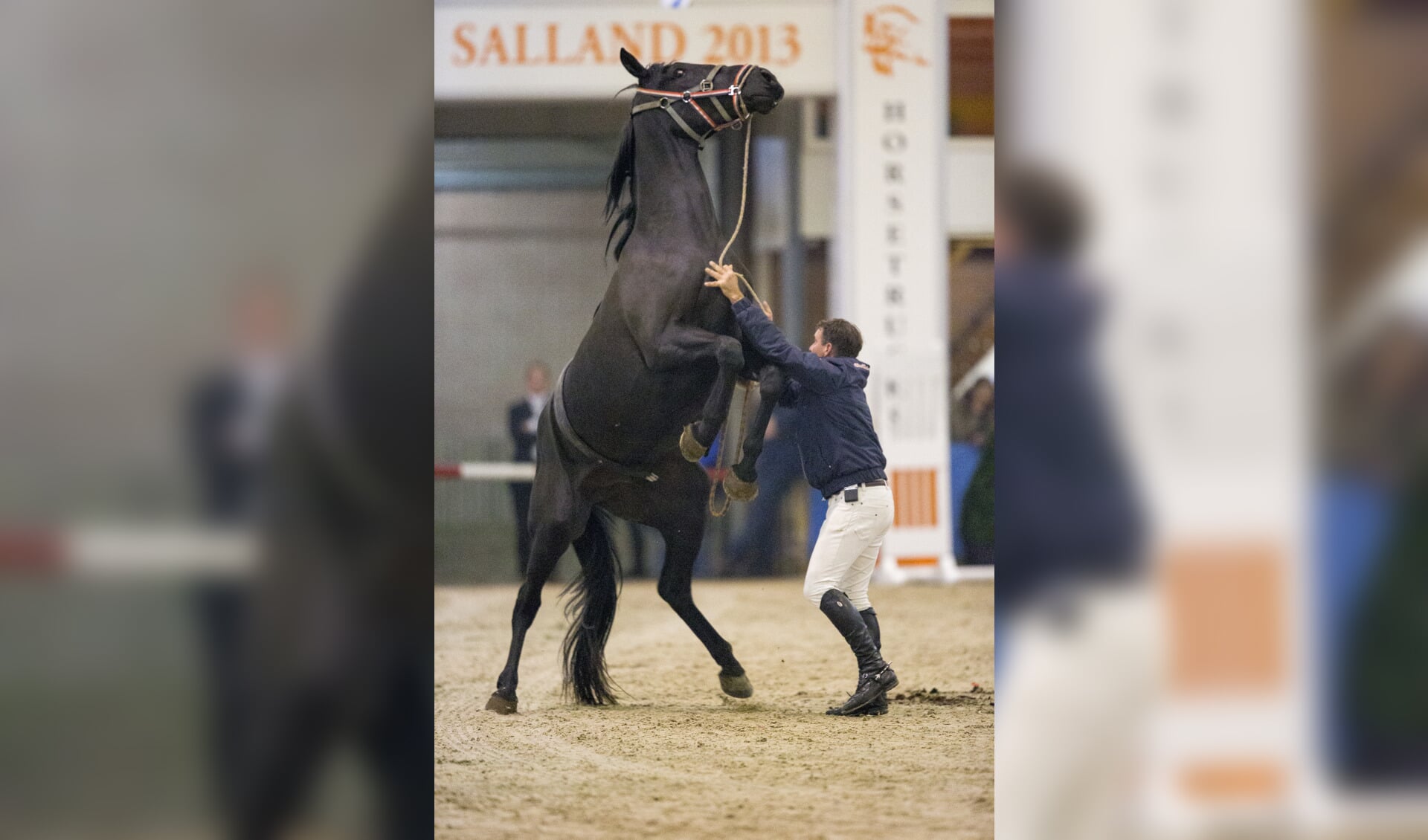 Gert van den Hof geeft donderdag op Jumping de Achterhoek een demonstratie zadelmak maken met een paard dat voor hem onbekend is en dat ook nog niet getraind is. Foto: PR