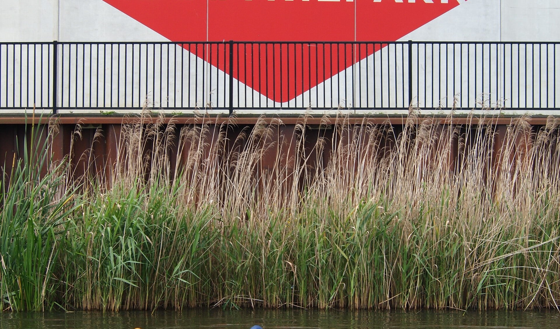 Met de DRU Cultuurfabriek als decor wordt de Zwemtocht Oude IJssel gehouden op 25 juni. Foto: PR