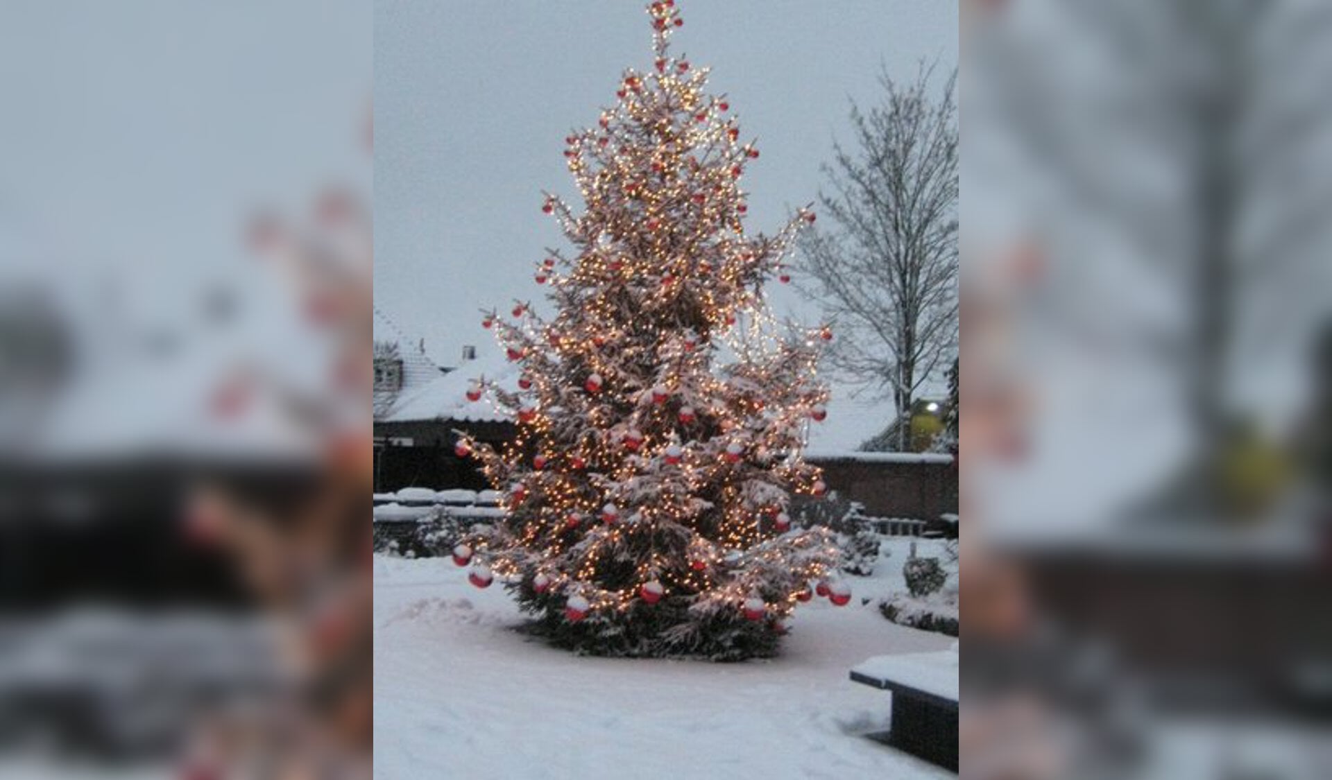 De kerstboom aan de Insulindelaan 5 in Vorden. Foto: PR