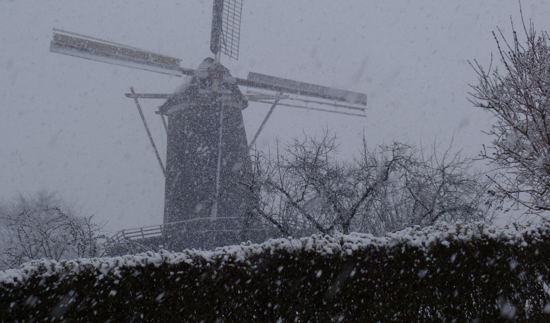 Ondanks de winterse omstandigheden stond de Agneta molen in de vreugdestand. Foto: Jan Hendriksen. 