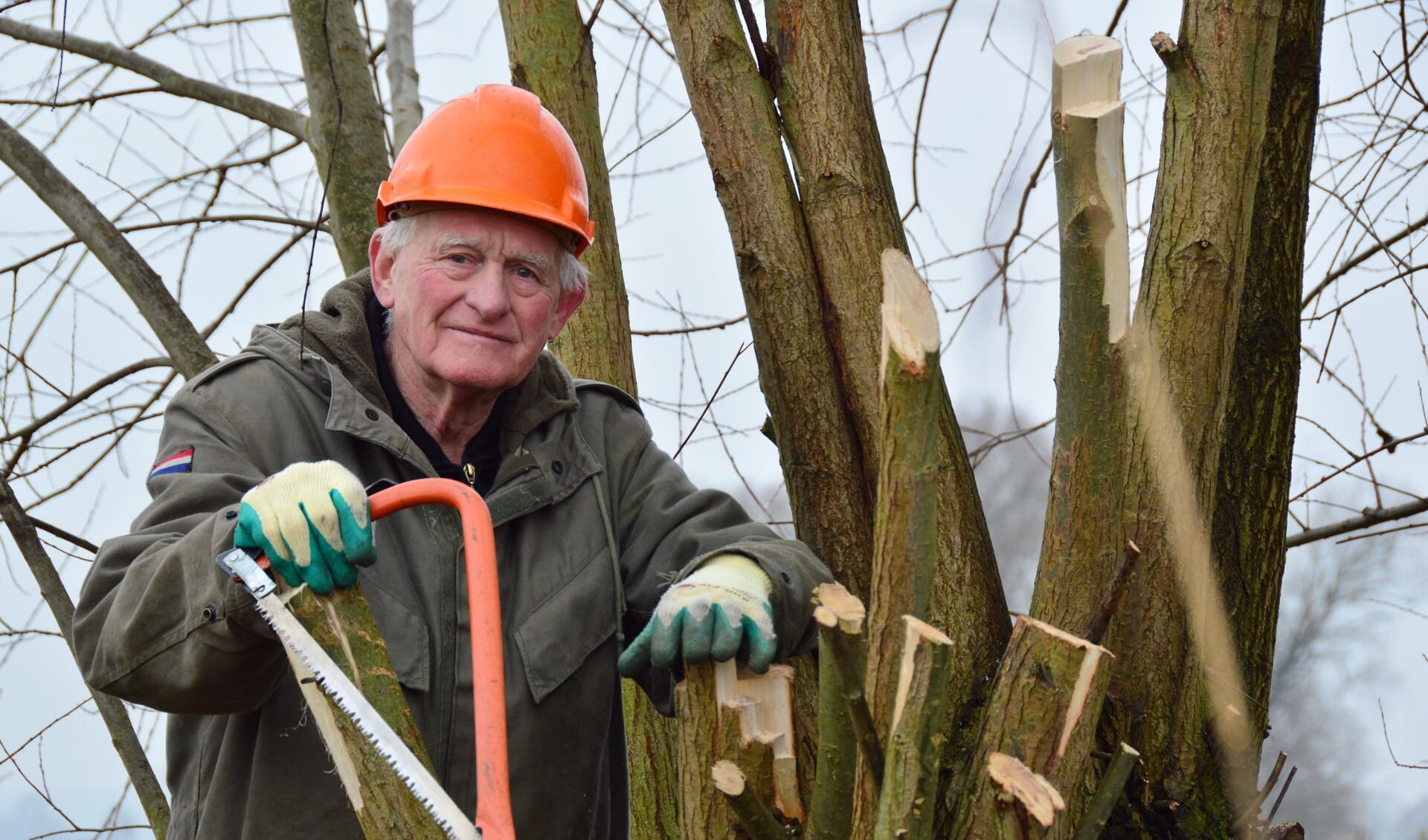  Wil Taken: 'Ik ben een bomenman'