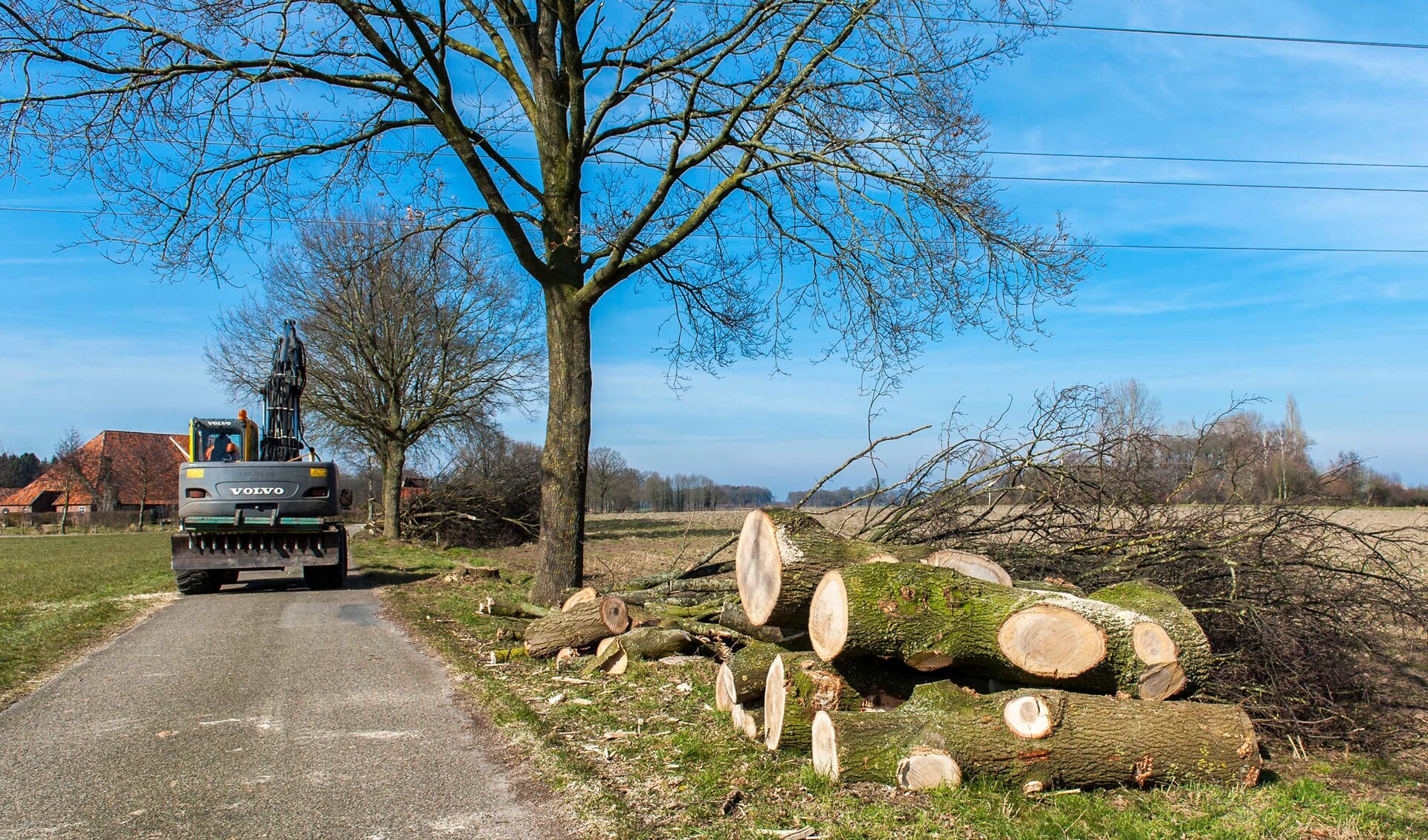 De bomenkap is begonnen aan de Boskappelle in Silvolde. Foto: Henk van Raaij