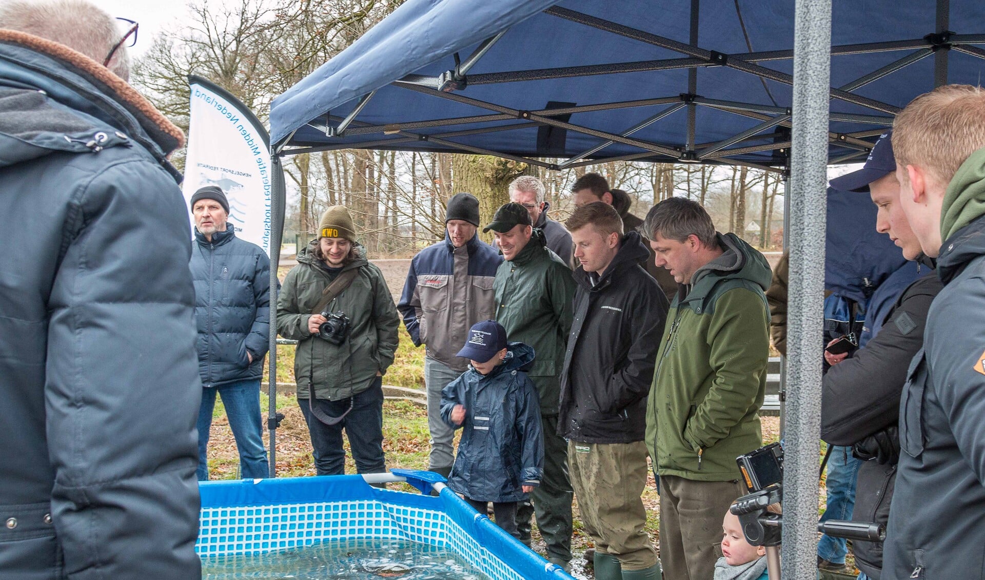 Woensdagmiddag werden de karpers uitgezet. Foto: PR