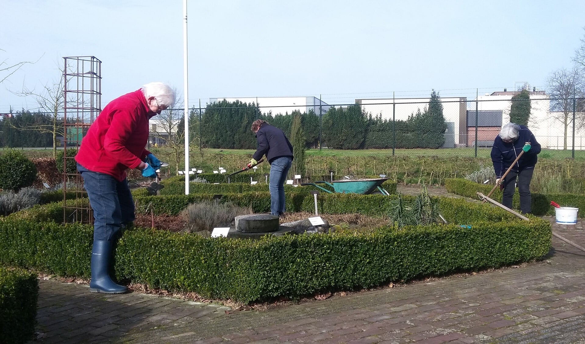 Vrijwilligers maken de kruidentuin bij Museum Smedekinck klaar voor de zomer. Foto: Ceciel Bremer
