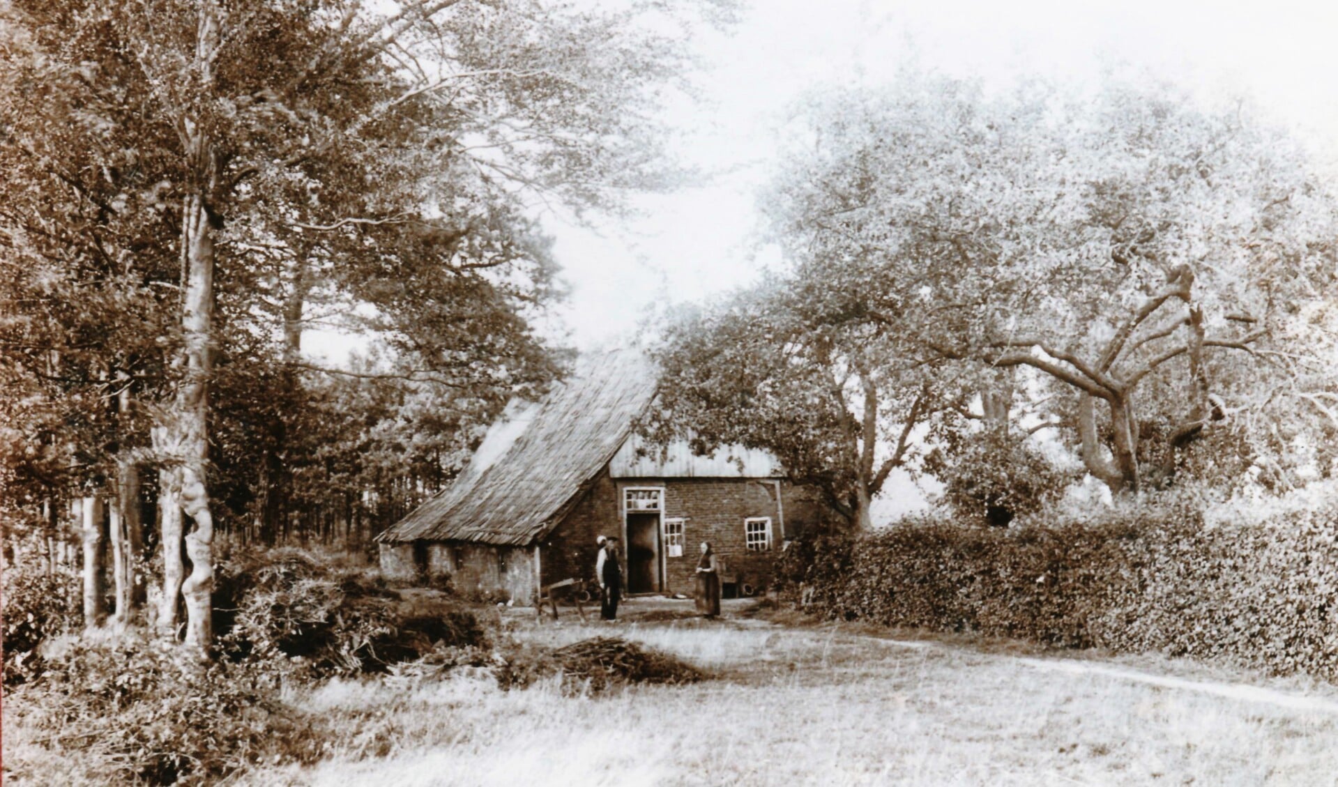 Boerderij in Rekken in 1917. Foto: Ben van Dijk