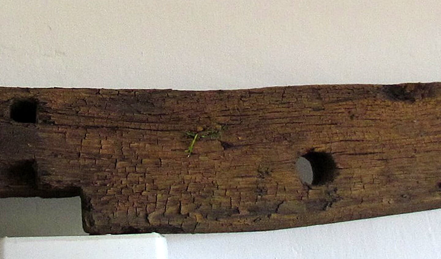 Het bij De Schipper in Gelselaar gevonden hout, waarvan Mensink vermoedt dat het uit de bodem komt van een schip. Foto: PR