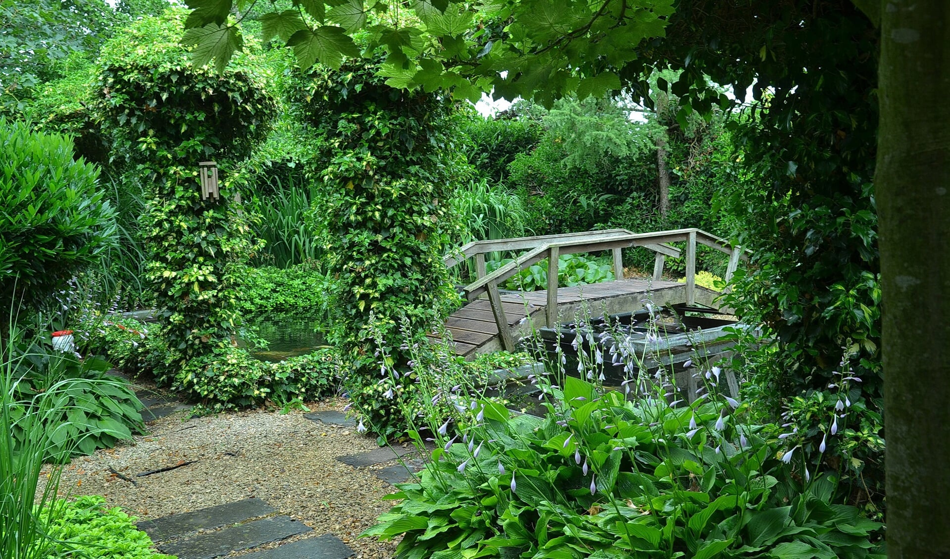 Tuinliefhebbers stellen hun tuinen open voor bezoekers. Foto: PR