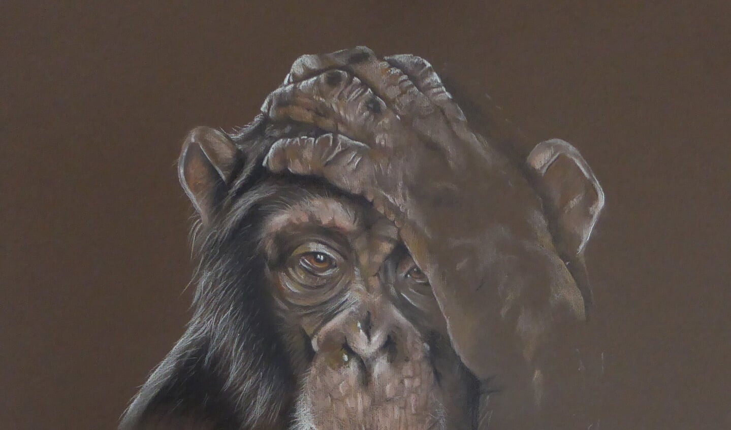 Pasteltekening van een aap door Wilma van der Werf-Geurts