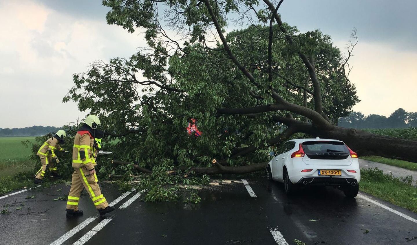 Auto beschadigd door omgevallen boom tijdens noodweer in Hengelo Gld. Foto: PR
