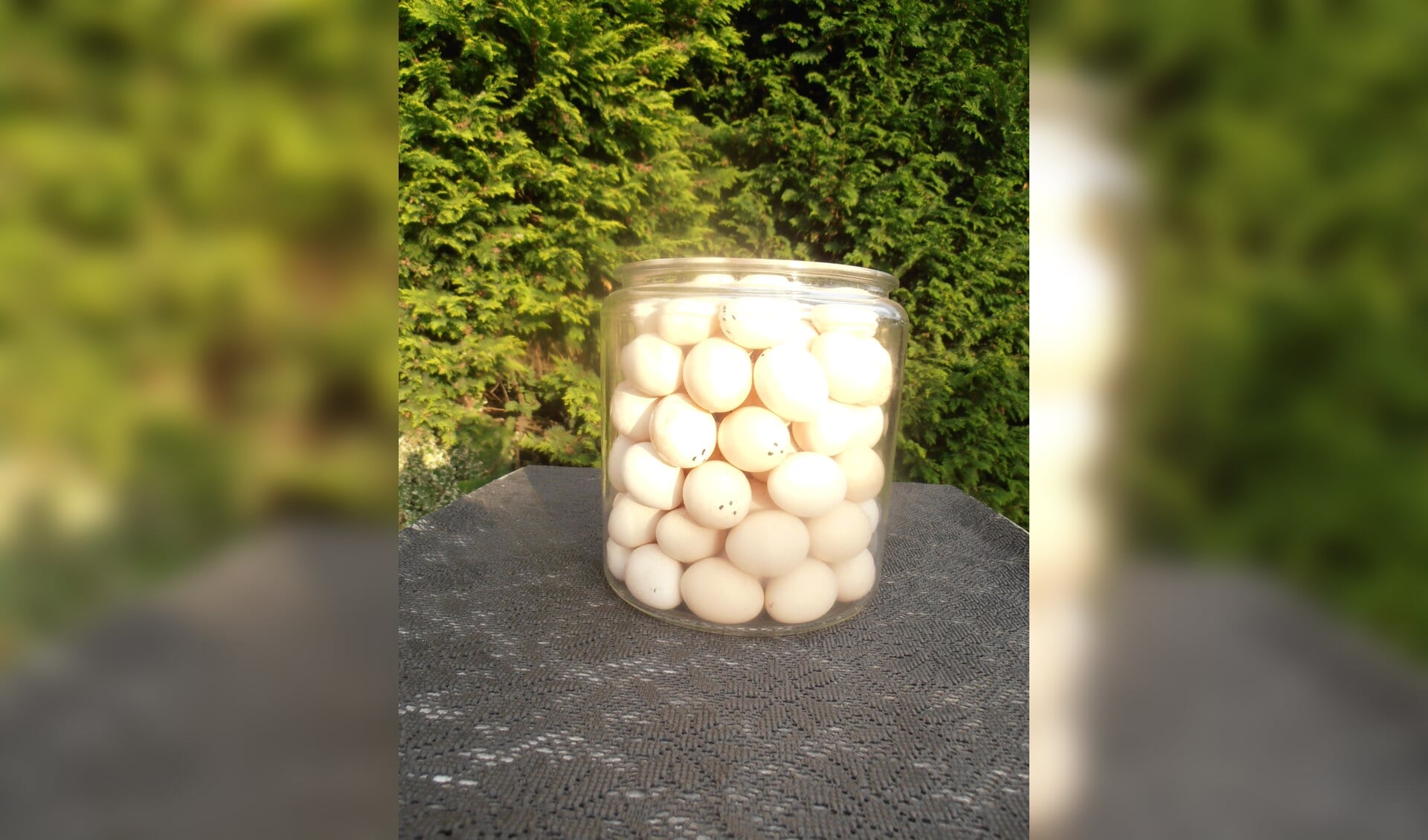 Hoeveel eieren zitten in deze pot? Dat was de prijsvraag van NPV Neede.Foto: PR