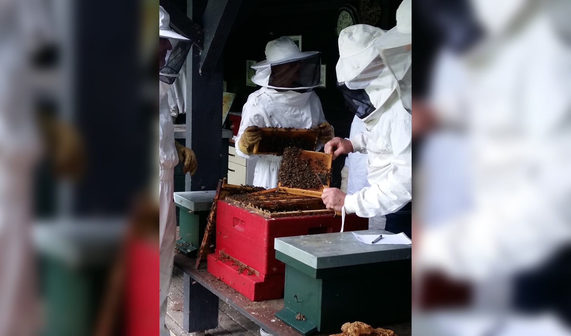 Imkers aan het werk met de bijenkasten. Foto: Waltraud Wensink
