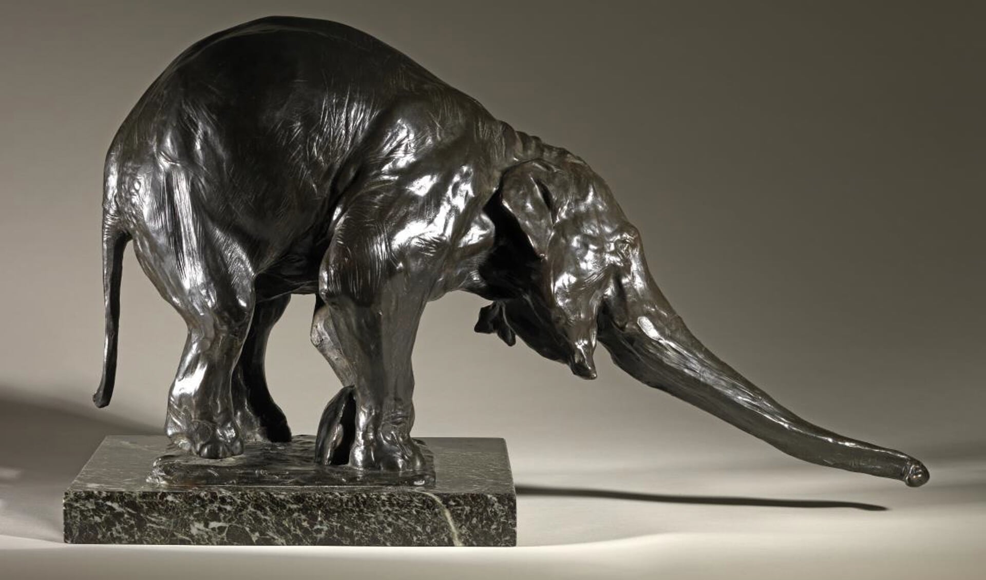 Rembrandt Bugatti, Stretching Elephant, brons op marmersokkel. Foto: PR