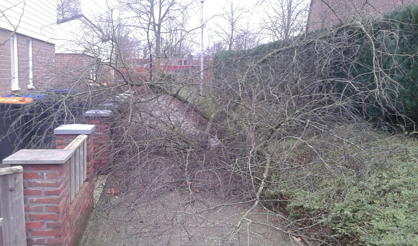 De schade, veroorzaakt door de storm, op de Ruysdaelhof. Foto: Simone van Koot