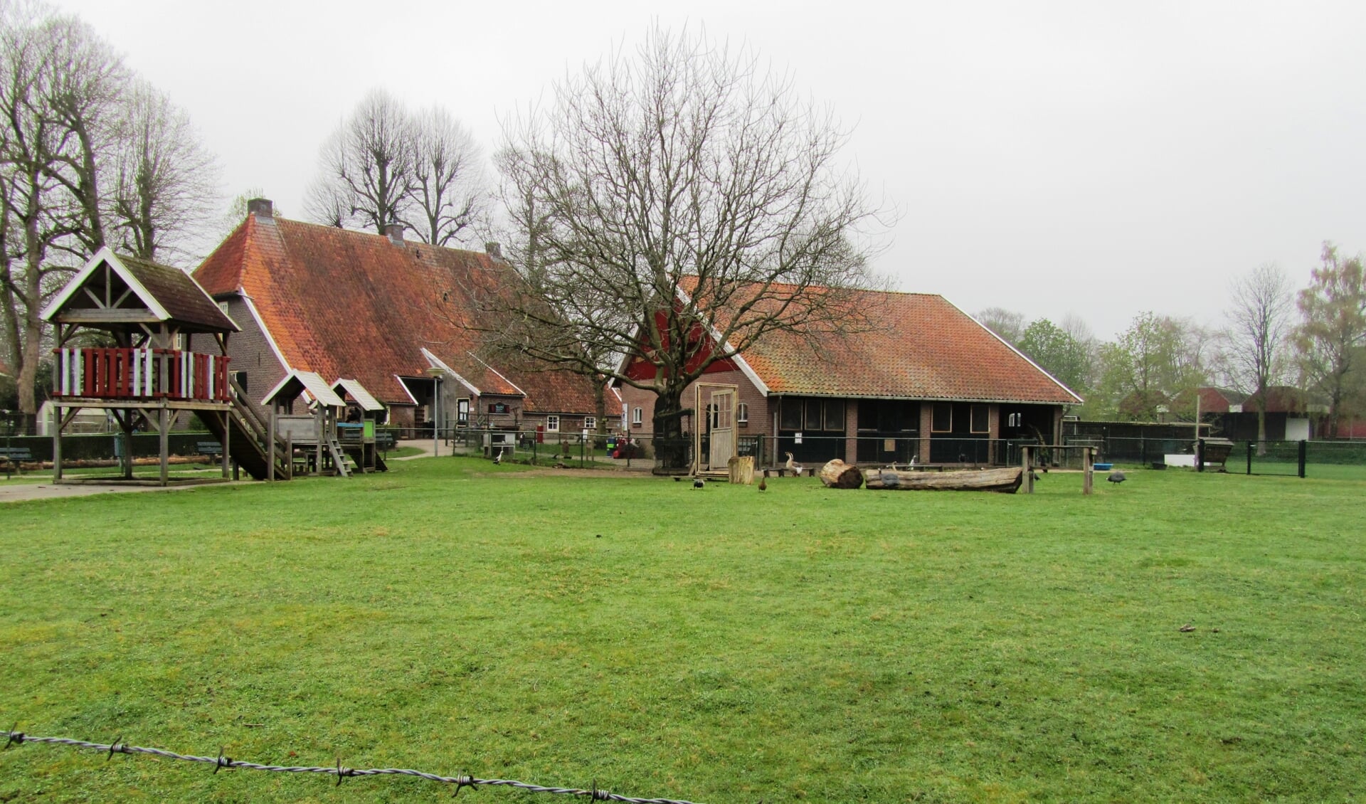 Kinderboerderij de Ahof. Foto: Bernhard Harfsterkamp