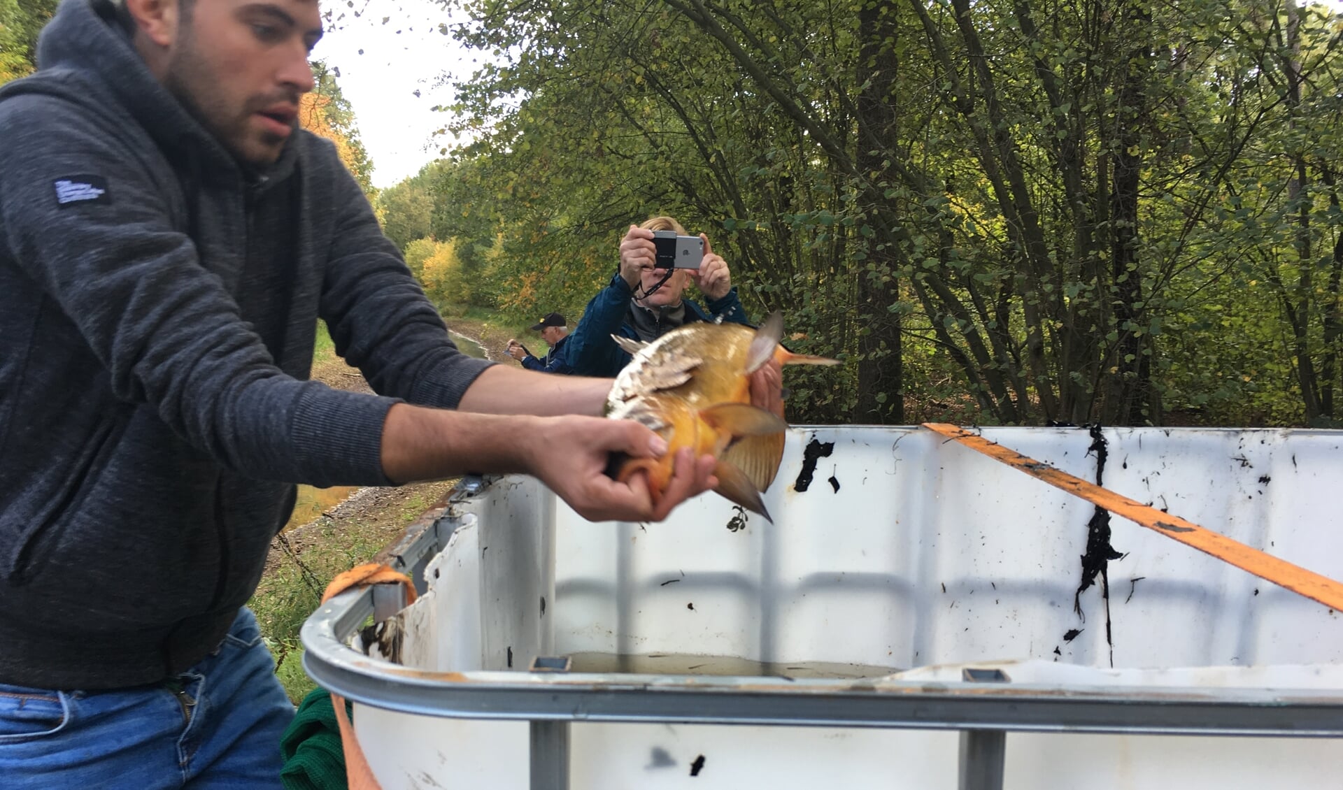 Er werd hard gewerkt om de vissen te redden. Foto: PR