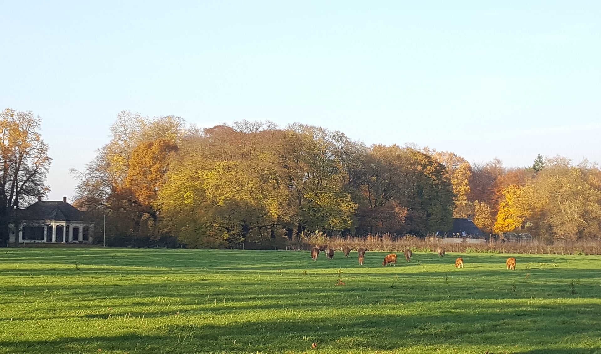 Landgoed 't Meenink. Foto: Aimée van Basten Batenburg