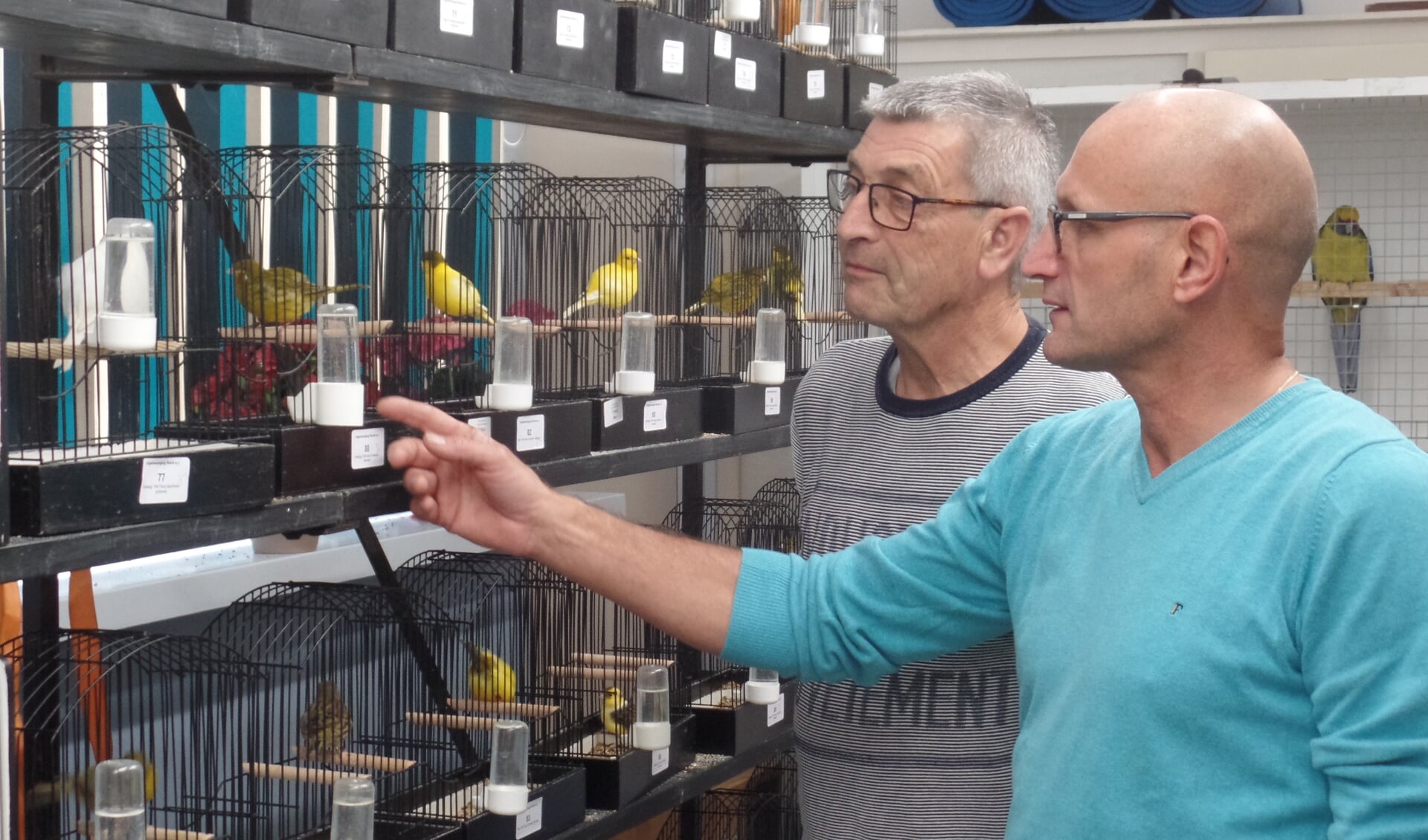 De Ruurlose leden Henk Haakmeester en Hein Blikman (r) bestuderen de Vordense/Ruurlose vogels. Foto: Jan Hendriksen. 