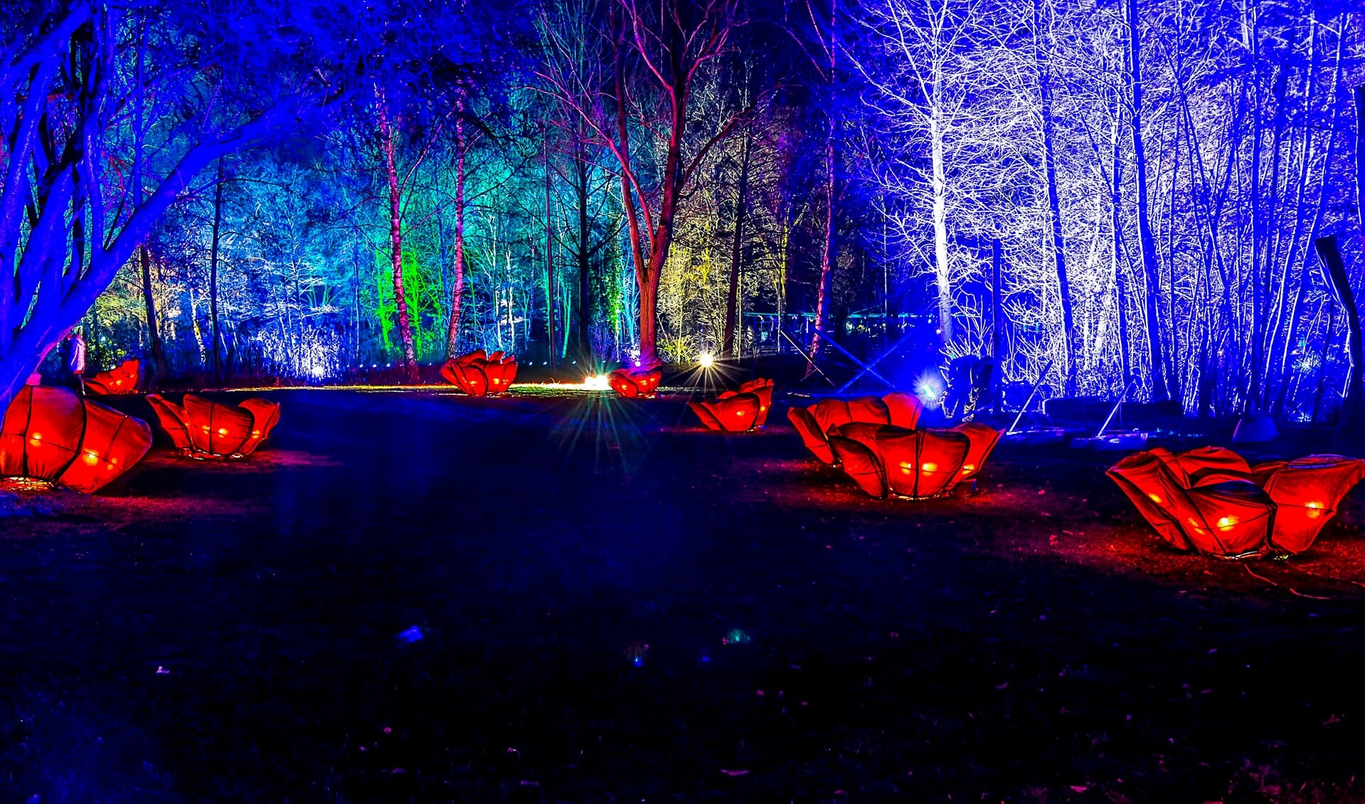 WarmWinterLicht 2018 in Braamt. Foto: Henk van Raaij