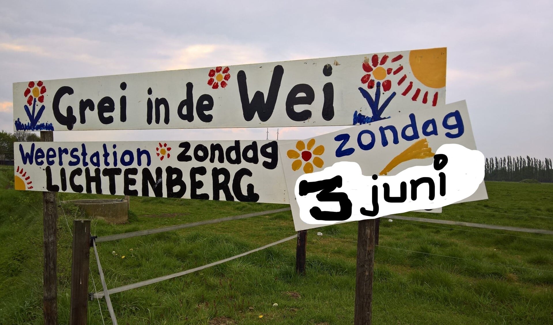 Grei in de Wei bij weerstation Lichtenberg. Foto: PR