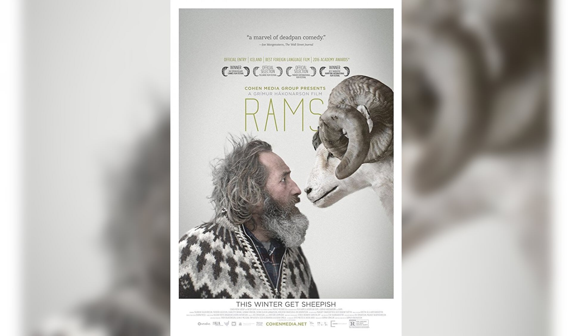 De film Rams in de Grote kerk in Halle. Foto: PR