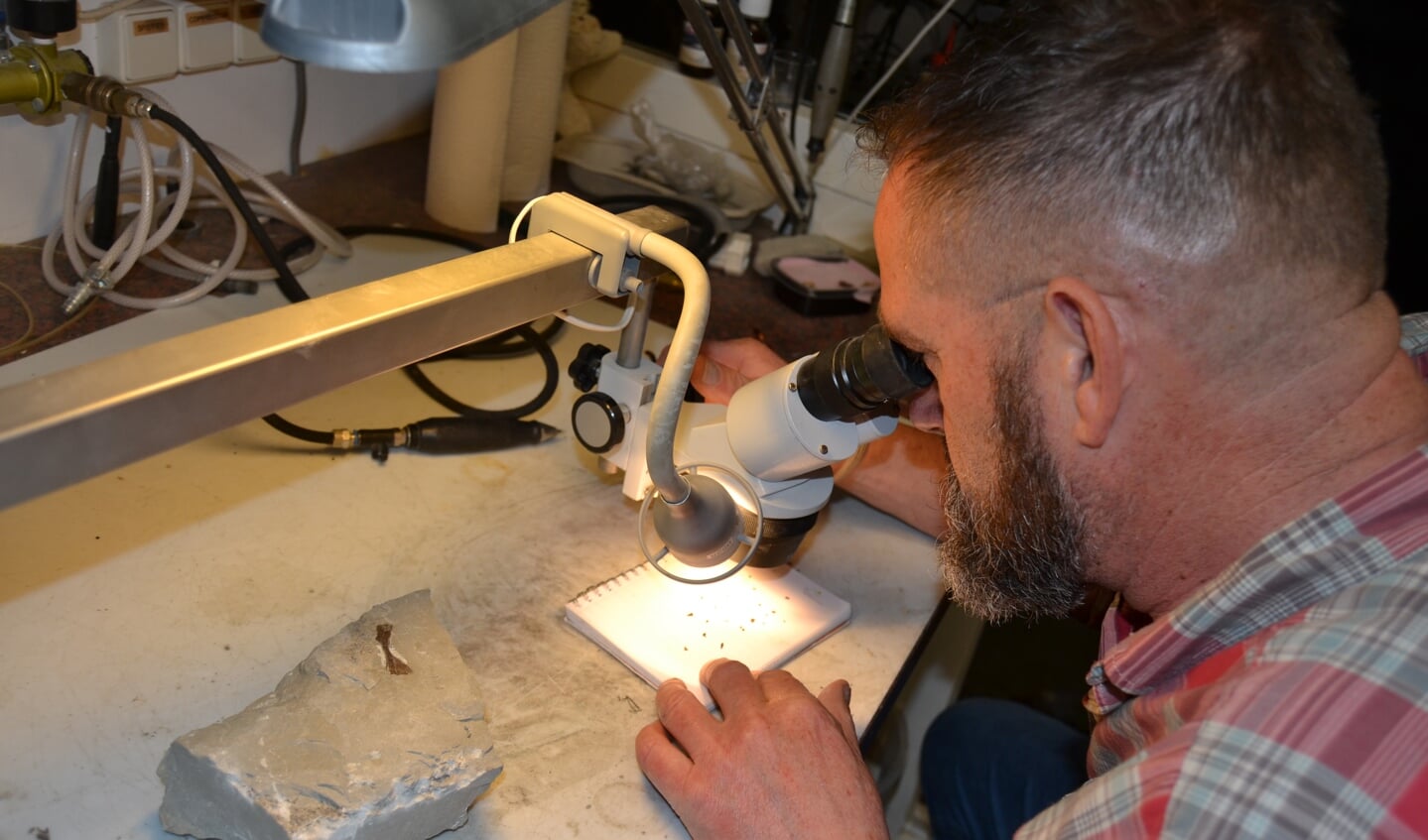 Amateurgeoloog Herman Winkelhorst bekijkt tandjes van 250 miljoen jaar oud.