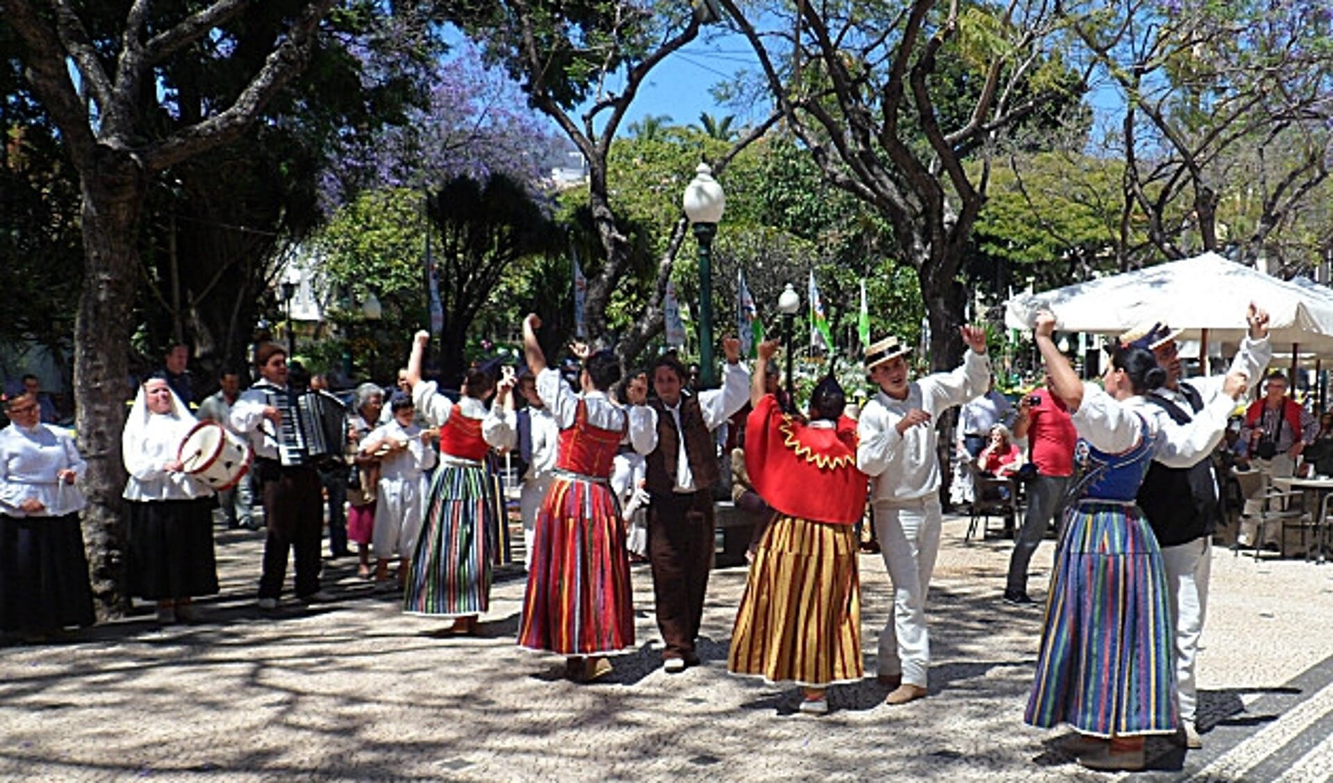 Een grote publiekstrekker zal tijdens de braderie ongetwijfeld de dansgroep 'Madeira' zijn van het gelijknamige Portugese eiland. Foto: PR